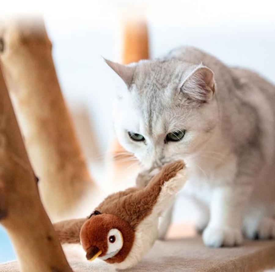 Interactive Cat Toy